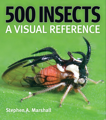 500 Insects: A Visual Reference Cover Image