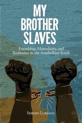 Cover for My Brother Slaves
