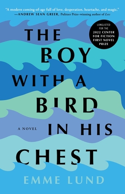 Cover for The Boy with a Bird in His Chest