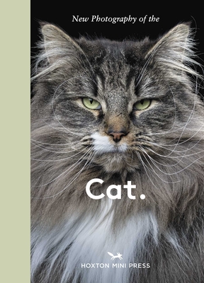 New Photography of the Cat. | 2 Dandelions Bookshop