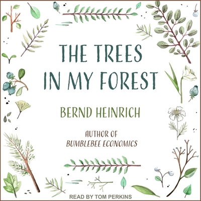 The Trees in My Forest By Bernd Heinrich, Tom Perkins (Read by) Cover Image