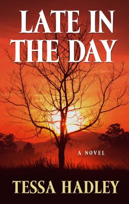 Late in the Day Cover Image