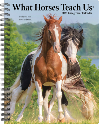 What Horses Teach Us 2024 6.5 X 8.5 Engagement Calendar By Willow Creek Press Cover Image