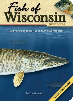 Fish of Wisconsin Field Guide (Fish Identification Guides) By Dave Bosanko Cover Image