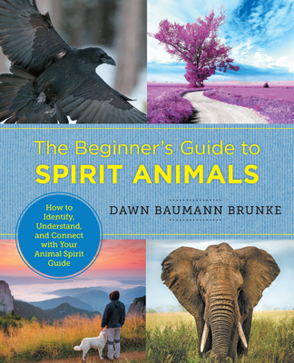 The Beginner's Guide to Spirit Animals: How to Identify, Understand, and  Connect with Your Animal Spirit Guide (New Shoe Press) (Paperback) | Books  and Crannies