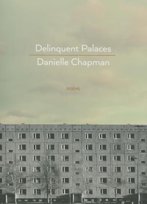 Cover for Delinquent Palaces