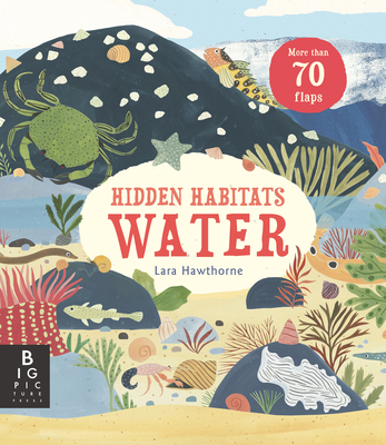 Hidden Habitats: Water (Small Worlds) By Lily Murray, Lara Hawthorne (Illustrator) Cover Image