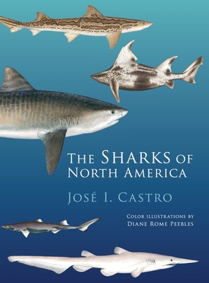 Sharks of North America By Jose I. Castro, Diane Rome Peebles (Illustrator) Cover Image