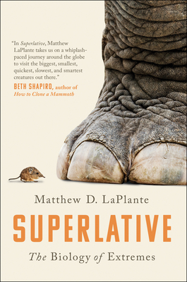 Cover for Superlative