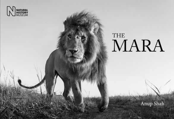 The Mara Cover Image