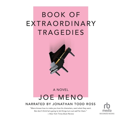 Book of Extraordinary Tragedies By Joe Meno, Jonathan Todd Ross (Read by) Cover Image
