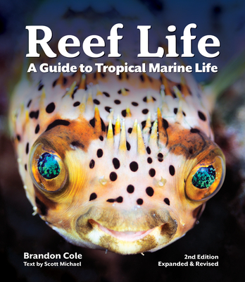 Reef Life: A Guide to Tropical Marine Life By Brandon Cole, Brandon Cole (Photographer), Scott Michael Cover Image