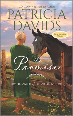 The Promise: A Clean & Wholesome Romance Cover Image