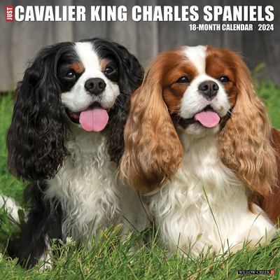 Just Cavalier King Charles Spaniels 2024 12 X 12 Wall Calendar Cover Image