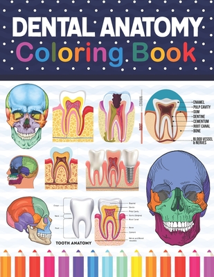 Dental Anatomy Coloring Book: Dental Anatomy Coloring Book for kids. Dental, Teeth Anatomy Coloring Pages for Kids Toddlers Teens. Human Body Anatom By Samkeylone Publication Cover Image