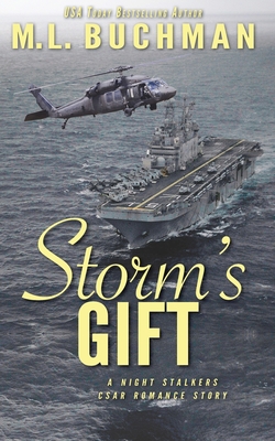 Cover for Storm's Gift: a military romantic suspense story