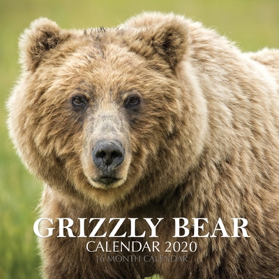 Grizzly Bear Calendar 2020: 16 Month Calendar