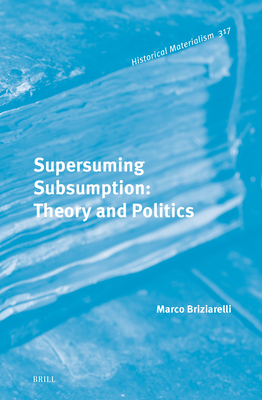 Supersuming Subsumption: Theory and Politics (Historical Materialism Book #317)
