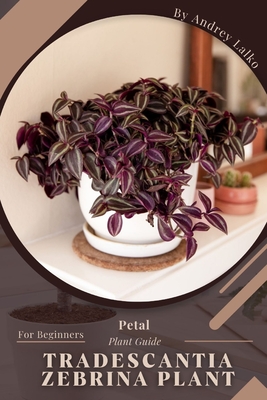 Tradescantia Zebrina Plant: Prodigy Petal, Plant Guide Cover Image