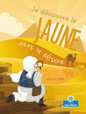 Je Découvre Le Jaune Dans Le Désert (I Spy Yellow in the Desert) Cover Image