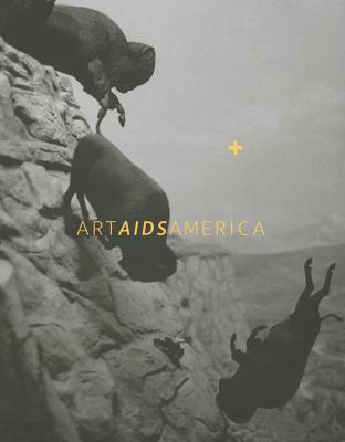 Art AIDS America Cover Image