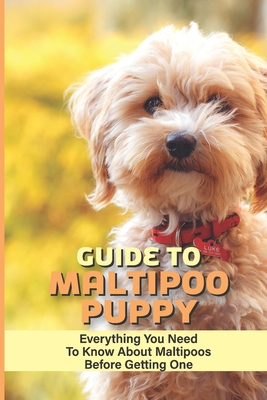 Guide To Maltipoo Puppy: Everything You Need To Know About Maltipoos Before Getting One: Basic Training Techniques For Your Maltipoo By Jody Sweetman Cover Image
