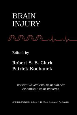 Brain Injury (Molecular & Cellular Biology of Critical Care Medicine #2) Cover Image