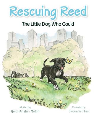Rescuing Reed: The Little Dog Who Could