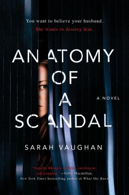 Cover for Anatomy of a Scandal