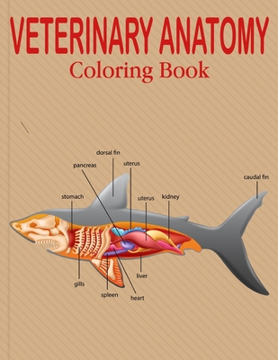 Veterinary Anatomy Coloring Book: Animal Anatomy and Veterinary Coloring  Book Best gift for your student .Vol-1 (Paperback) | Vroman's Bookstore