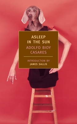 Asleep in the Sun By Adolfo Bioy Casares, James Sallis (Introduction by), Suzanne Jill Levine (Translated by) Cover Image