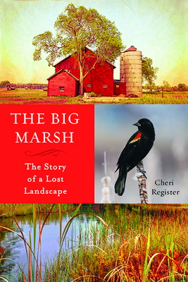 The Big Marsh: The Story of a Lost Landscape Cover Image