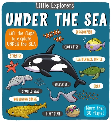 Little Explorers: Under the Sea By Little Bee Books Cover Image