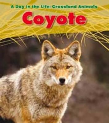 Coyote. Louise Spilsbury (Day in the Life. Grassland Animals) Cover Image