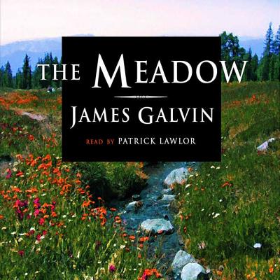The Meadow By James Galvin, Patrick Girard Lawlor (Read by) Cover Image