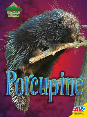 Porcupine (Backyard Animals) By Christine Webster Cover Image