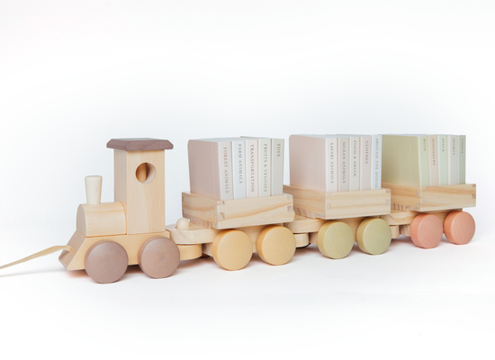 My Little Locomotive Library: Our Little Library 15-Book Box Set (Tabitha Paige Children's Book Series #20)