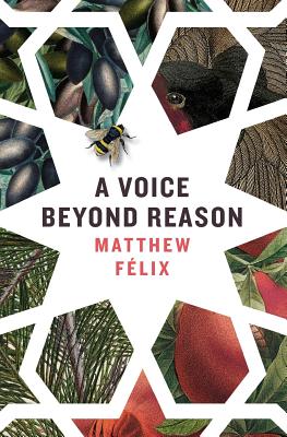 A Voice Beyond Reason By Matthew Félix Cover Image
