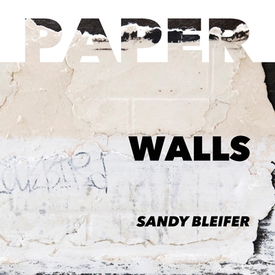 Paper: Walls: Vulnerability and Resilience of Urban Surfaces Cover Image