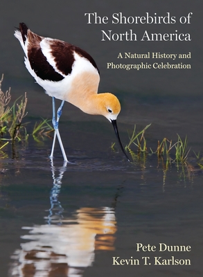 The Shorebirds of North America: A Natural History and Photographic Celebration Cover Image