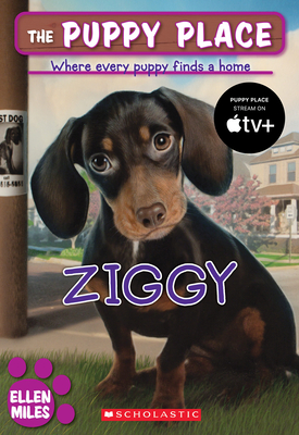 Ziggy (The Puppy Place #21) By Ellen Miles Cover Image