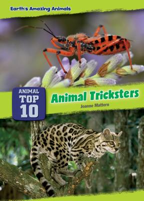 Animal Tricksters By Joanne Mattern Cover Image