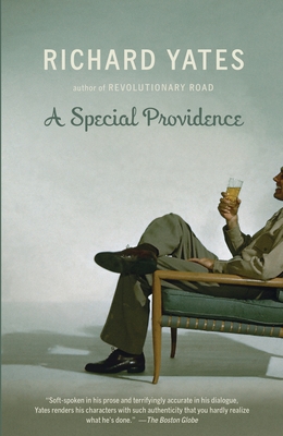 Cover for A Special Providence (Vintage Contemporaries)