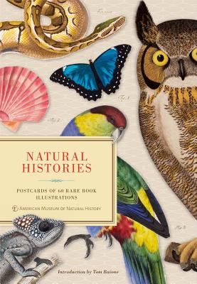 Natural Histories: Postcards of 60 Rare Book Illustrations Cover Image
