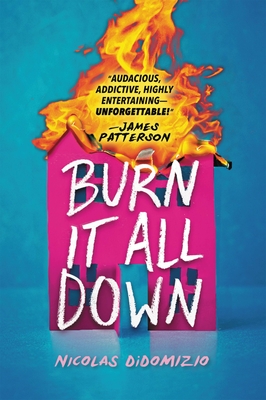 Burn It All Down By Nicolas DiDomizio Cover Image