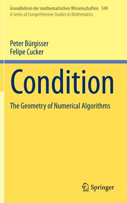 Condition: The Geometry of Numerical Algorithms (Grundlehren Der Mathematischen Wissenschaften #349)