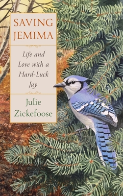 Saving Jemima: Life and Love with a Hard-Luck Jay By Julie Zickefoose Cover Image