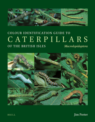 Colour Identification Guide to Caterpillars of the British Isles. Macrolepidoptera By Jim Porter Cover Image