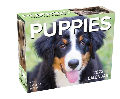 Puppies 2022 Mini Day-to-Day Calendar By Andrews McMeel Publishing Cover Image