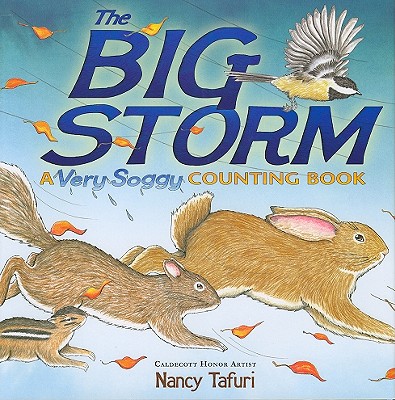 The Big Storm: A Very Soggy Counting Book By Nancy Tafuri, Nancy Tafuri (Illustrator) Cover Image